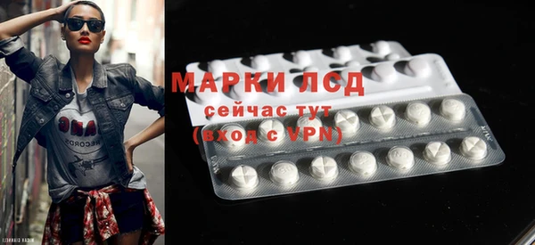 дмт Магас