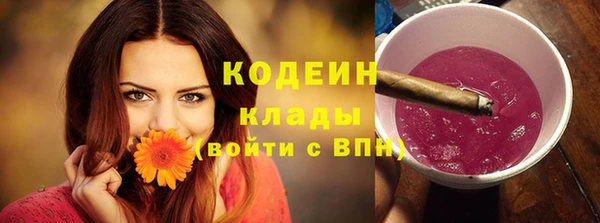 дмт Магас