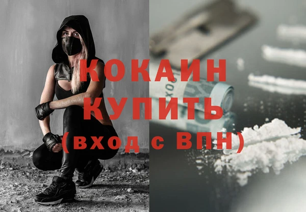 дмт Магас