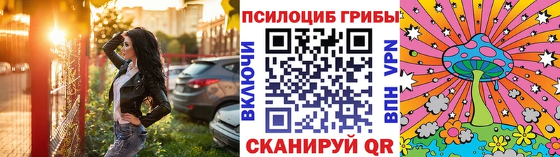 Псилоцибиновые грибы мухоморы  Купить закладки  Тавда 